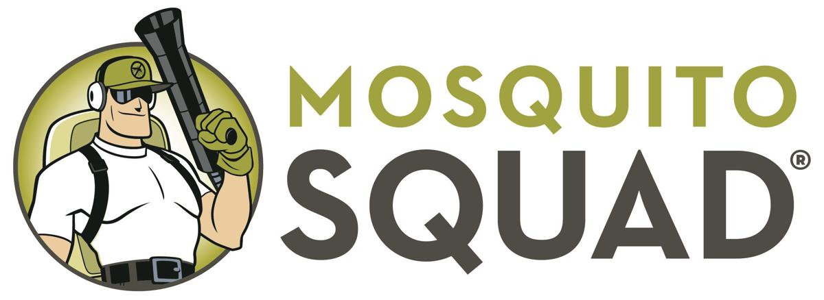 mosquito